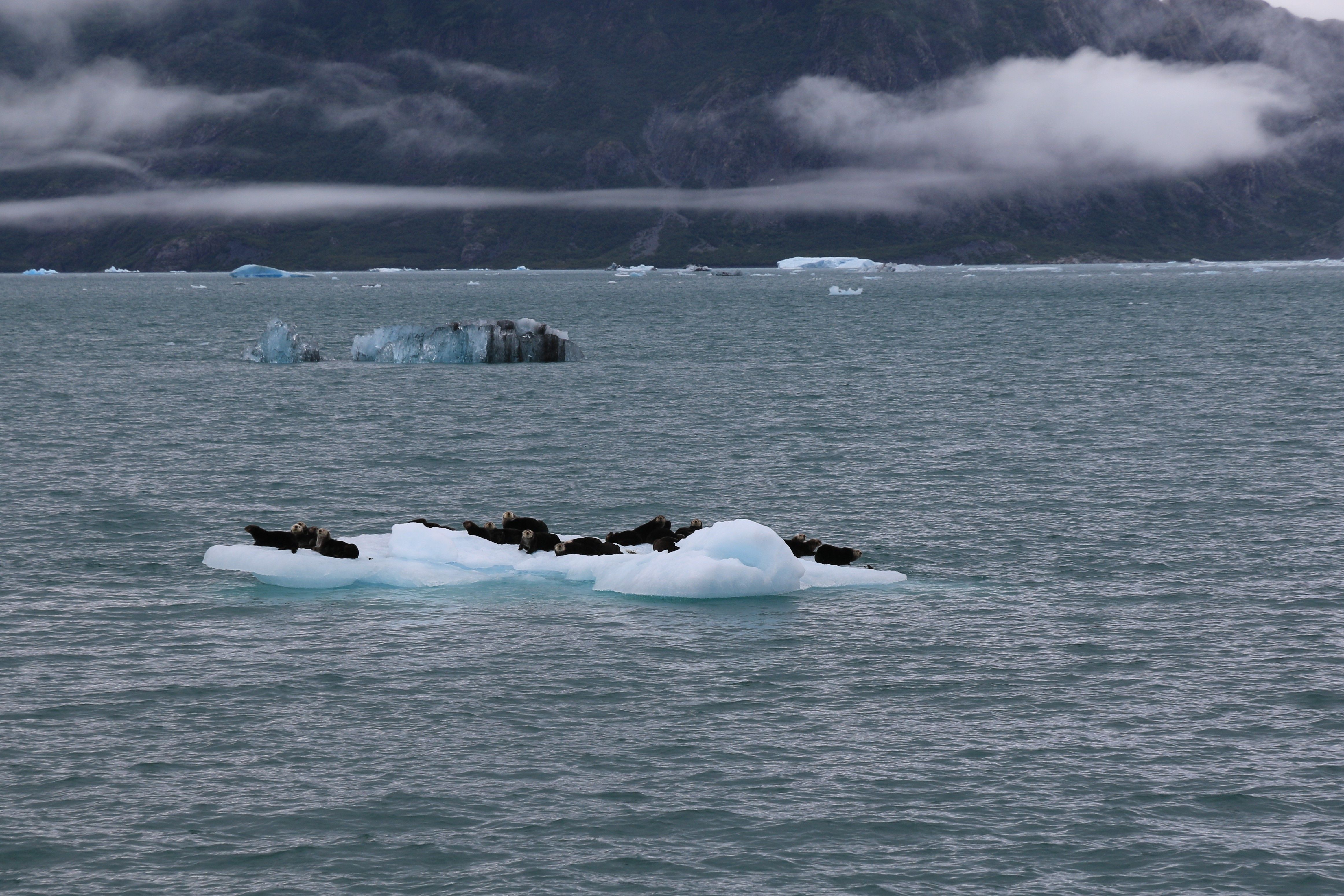 Alaska